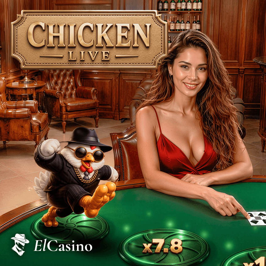 Chicken live