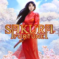Sakura Fortune
